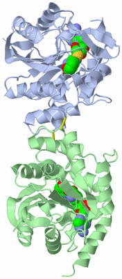 Image Asym./Biol. Unit