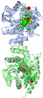 Image Asym./Biol. Unit - sites