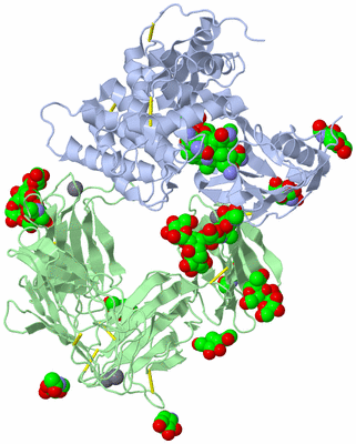 Image Biological Unit 1