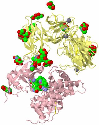 Image Biological Unit 2