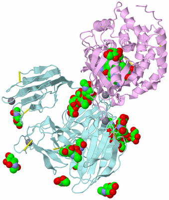 Image Biological Unit 3