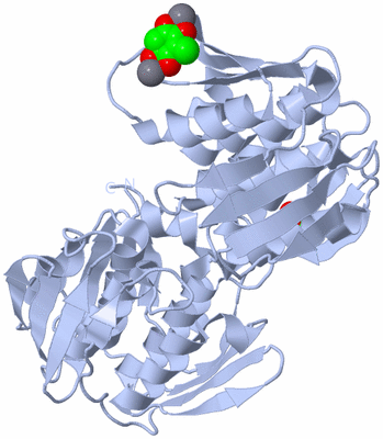 Image Biological Unit 1