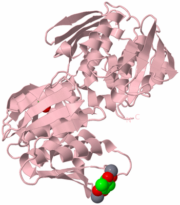 Image Biological Unit 3