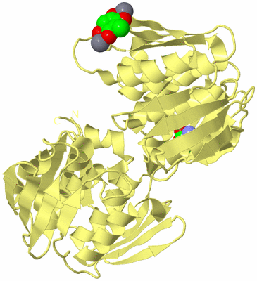 Image Biological Unit 4