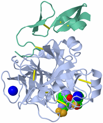 Image Asym./Biol. Unit