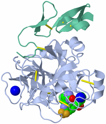 Image Asym./Biol. Unit