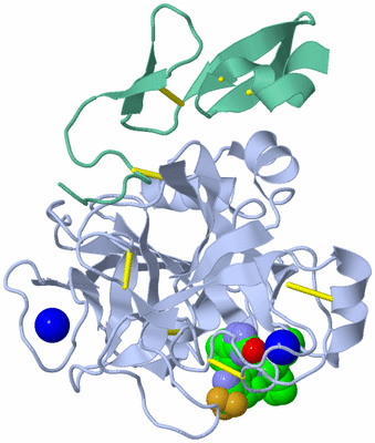 Image Asym./Biol. Unit