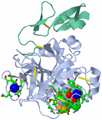 Image Asym./Biol. Unit - sites