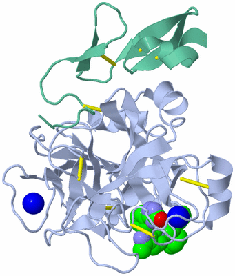 Image Asym./Biol. Unit