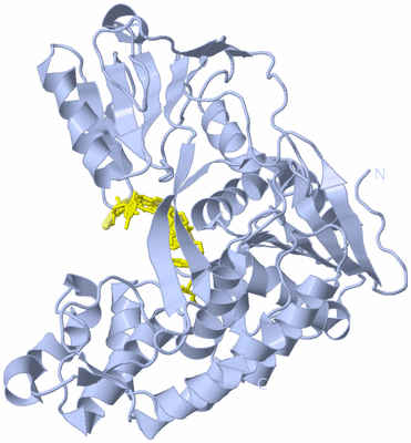 Image Biological Unit 1