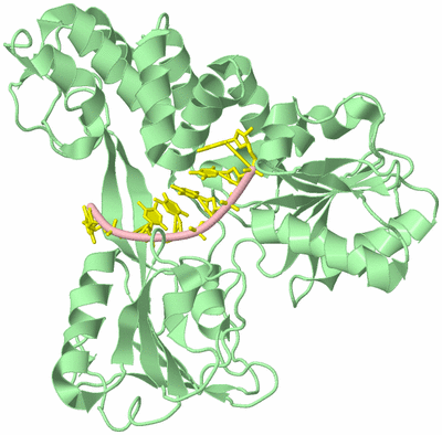 Image Biological Unit 2