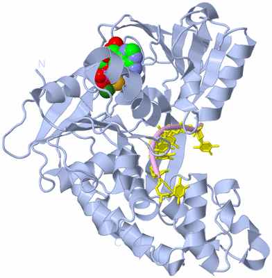 Image Biological Unit 1