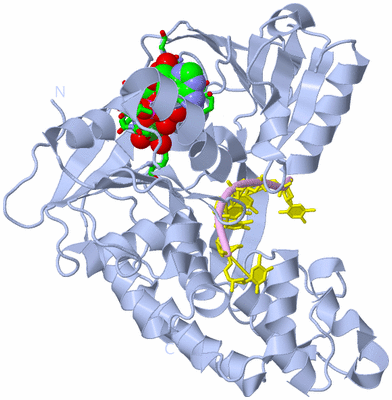 Image Biol. Unit 1 - sites