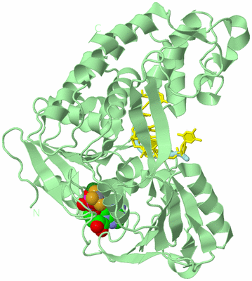 Image Biological Unit 2