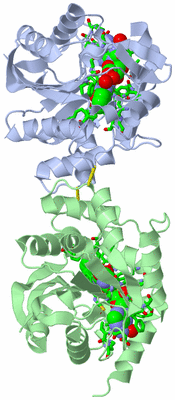 Image Asym./Biol. Unit - sites