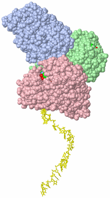 Image Biological Unit 1