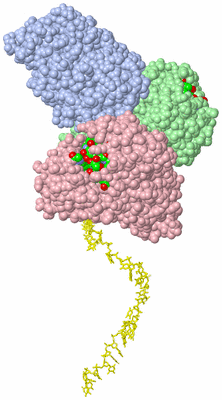 Image Biol. Unit 1 - sites