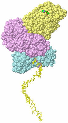 Image Biological Unit 2