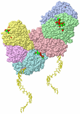 Image Asym. Unit - sites