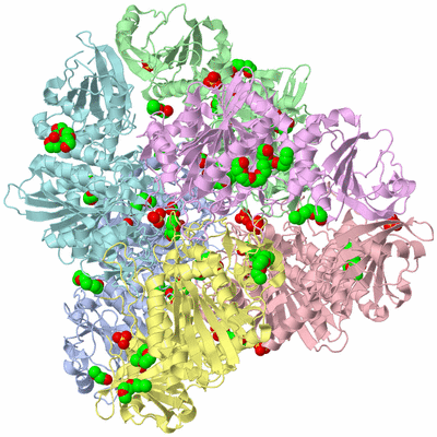 Image Biological Unit 1