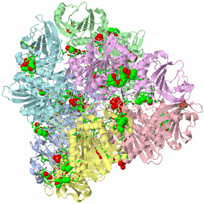 Image Biol. Unit 1 - sites