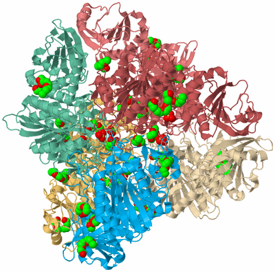 Image Biological Unit 2