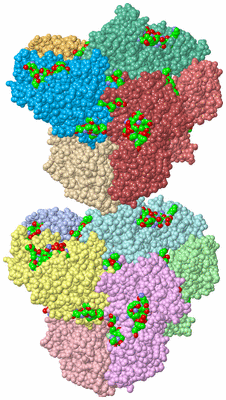 Image Asym. Unit - sites