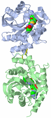 Image Asym./Biol. Unit