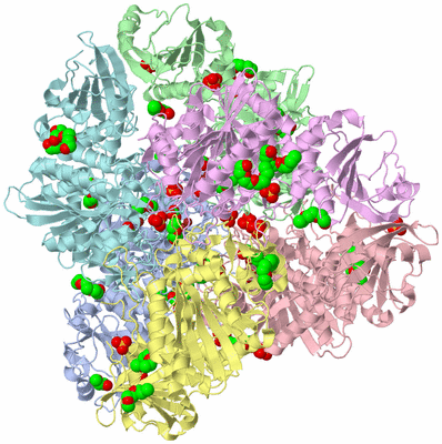 Image Biological Unit 1