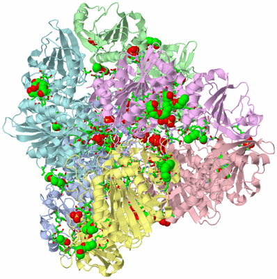 Image Biol. Unit 1 - sites