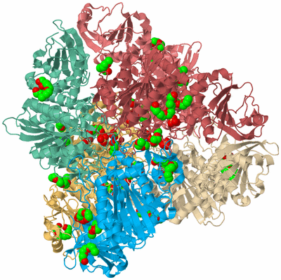 Image Biological Unit 2