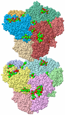 Image Asym. Unit - sites