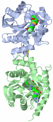 Image Asym./Biol. Unit