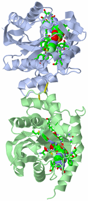 Image Asym./Biol. Unit - sites