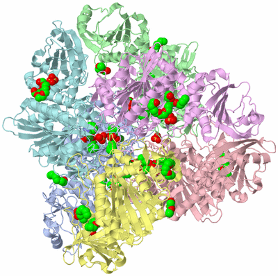 Image Biological Unit 1