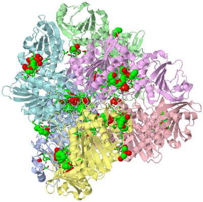 Image Biol. Unit 1 - sites