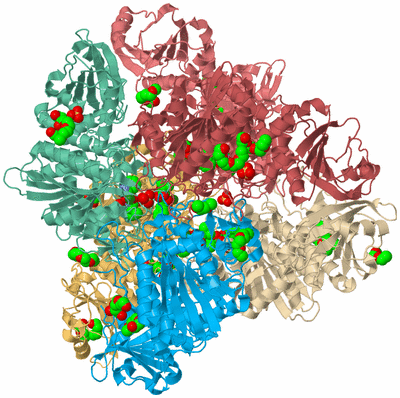 Image Biological Unit 2