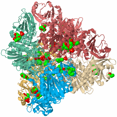 Image Biological Unit 2