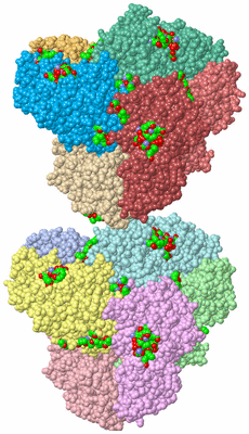 Image Asym. Unit - sites