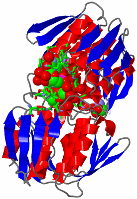 Image Asym./Biol. Unit - sites