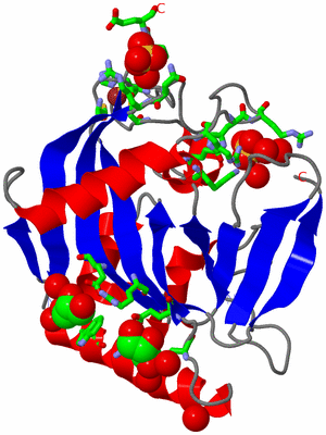 Image Asym./Biol. Unit - sites