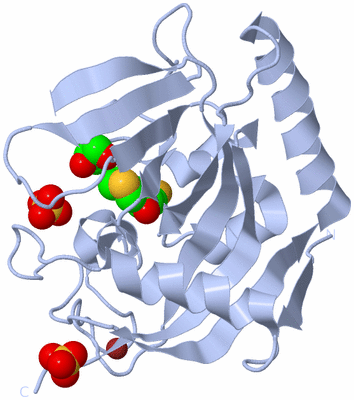 Image Biological Unit 1