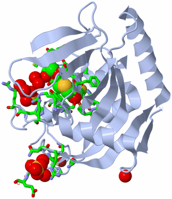 Image Biol. Unit 1 - sites