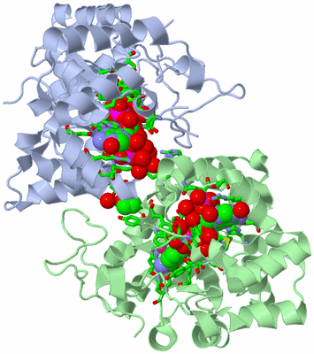 Image Biol. Unit 1 - sites