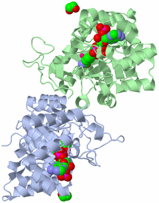 Image Biological Unit 2