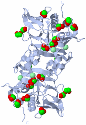 Image Biological Unit 2