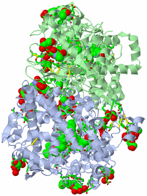 Image Asym./Biol. Unit - sites