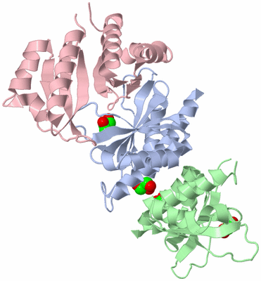 Image Biological Unit 4