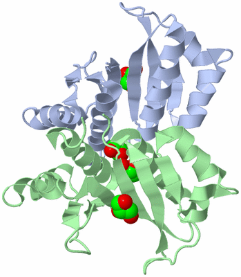 Image Biological Unit 5