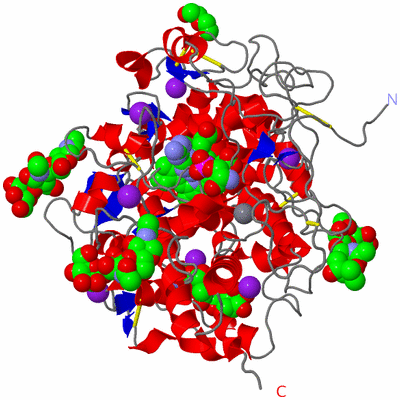 Image Asym./Biol. Unit